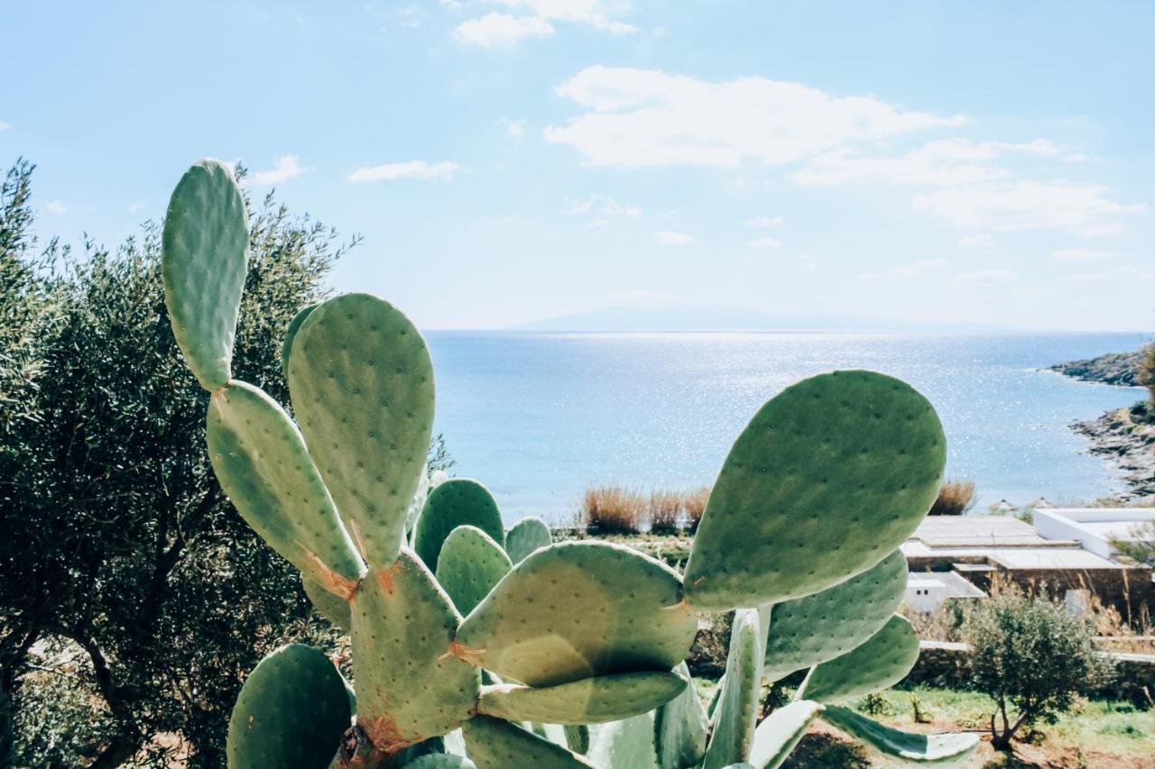 The Elaia House Mykonos Villa Ornós Eksteriør bilde