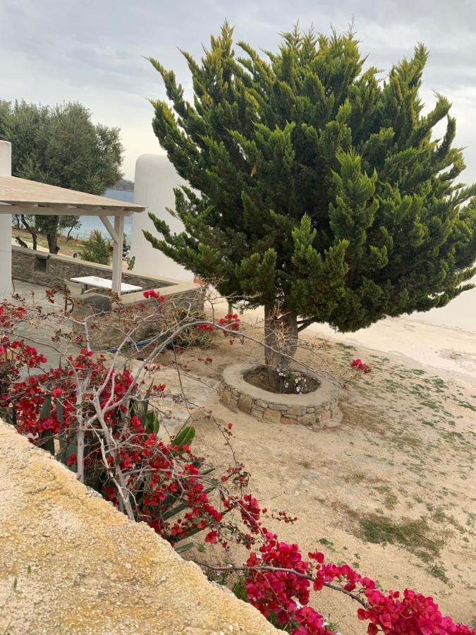 The Elaia House Mykonos Villa Ornós Eksteriør bilde